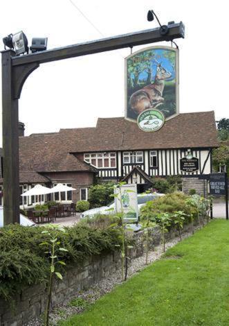 Roebuck By Greene King Inns Forest Row Eksteriør bilde